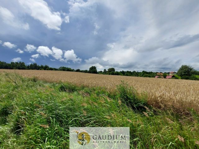 Działka budowlana Przezmark. Zdjęcie 14