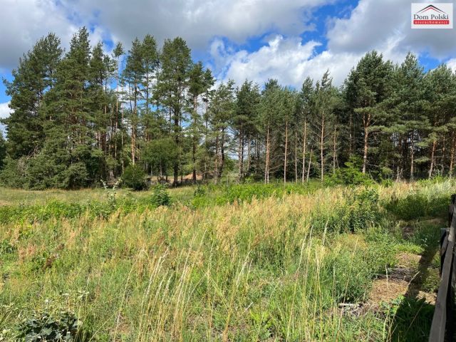 Działka budowlana Wałpusz. Zdjęcie 1