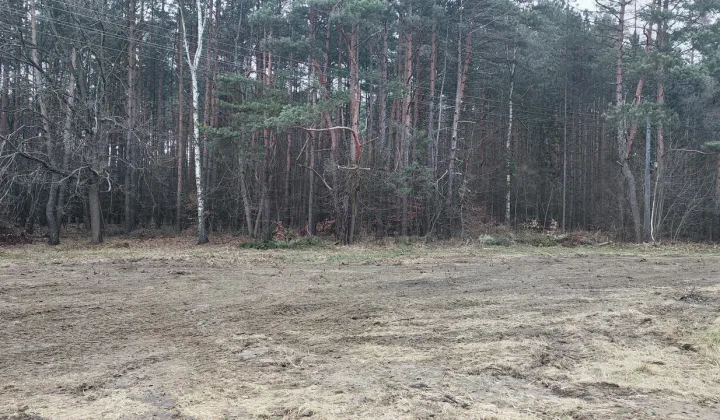 Działka budowlana Dąbrowa Górnicza Ujejsce, ul. Podbuczyny