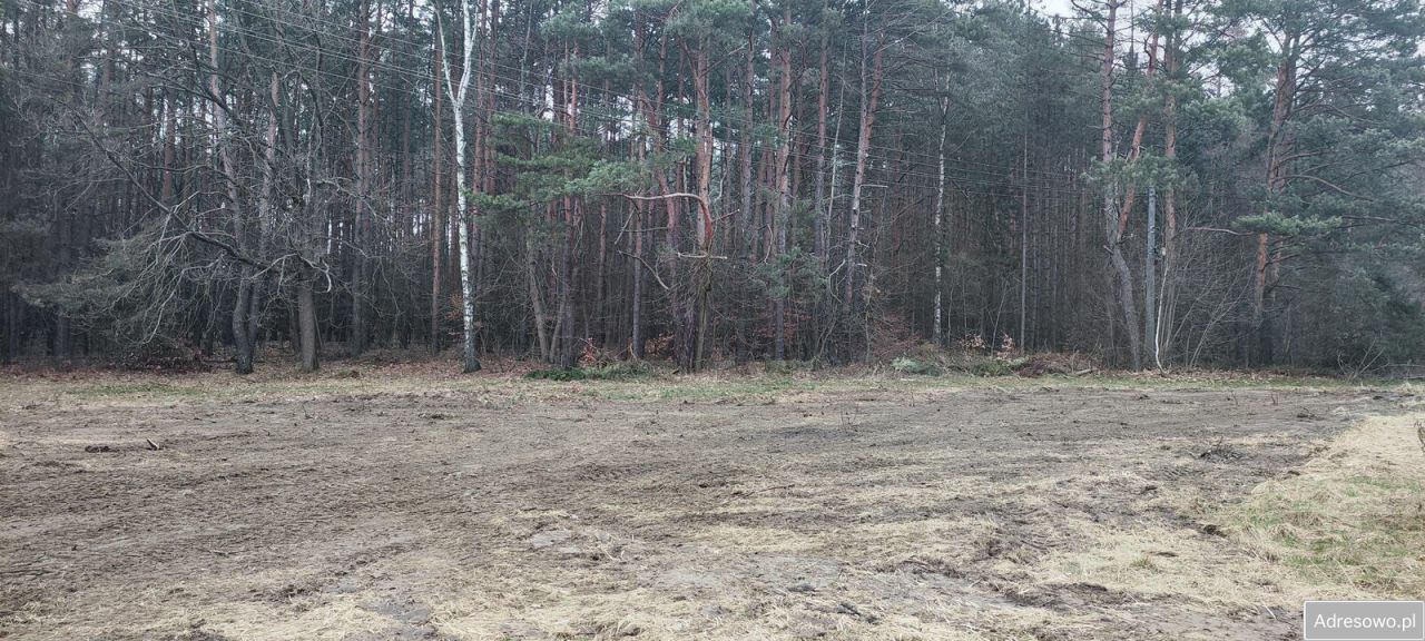 Działka budowlana Dąbrowa Górnicza Ujejsce, ul. Podbuczyny