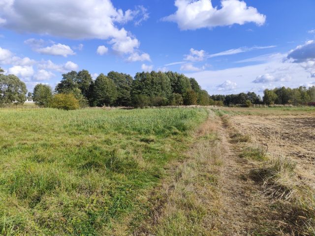 Działka rekreacyjna Czyżowice, ul. Nowa. Zdjęcie 1