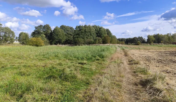 Działka rekreacyjna Czyżowice, ul. Nowa