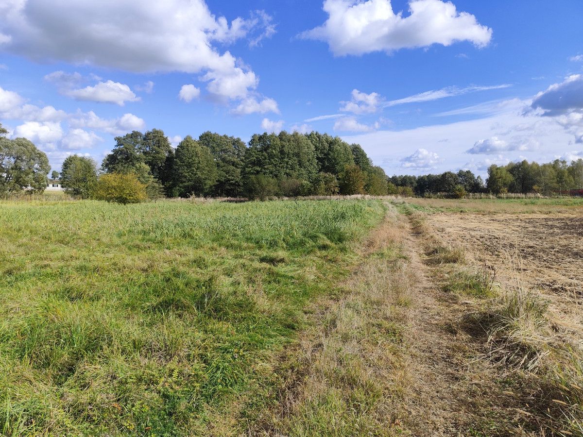 Działka rekreacyjna Czyżowice, ul. Nowa. Zdjęcie 1