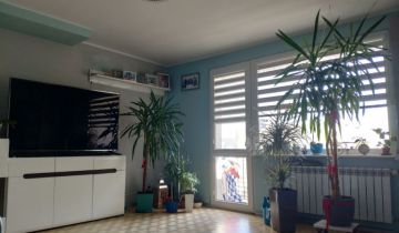 Mieszkanie 3-pokojowe Łódź Chojny. Zdjęcie 1