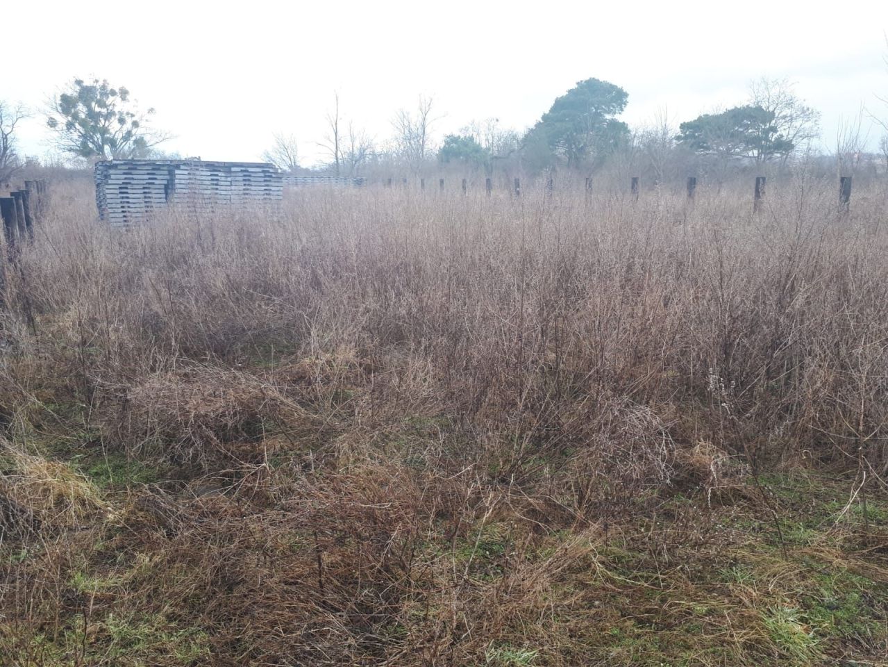 Działka budowlana Lisi Ogon. Zdjęcie 8