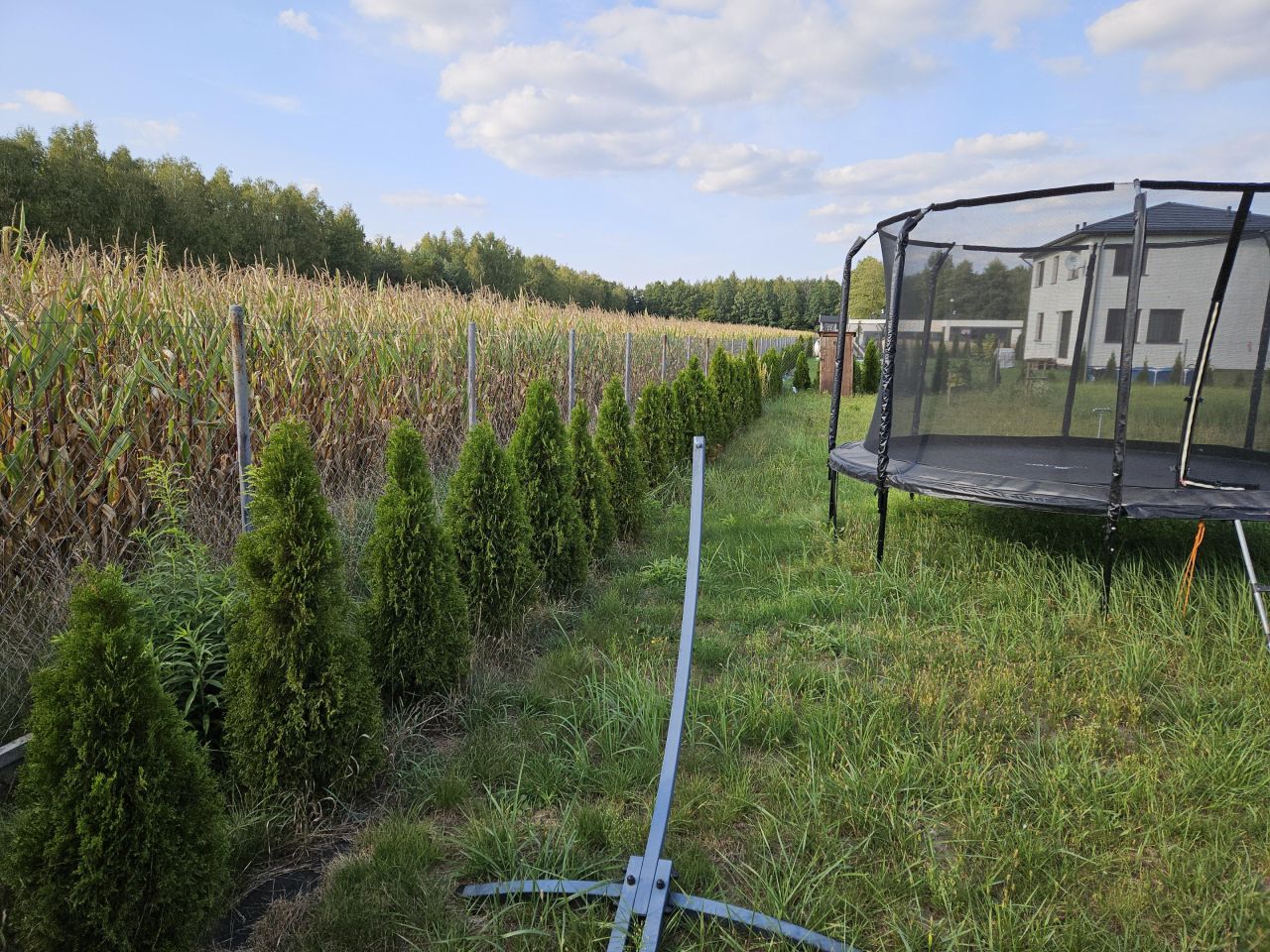 Działka rolno-budowlana Rawiczów. Zdjęcie 3