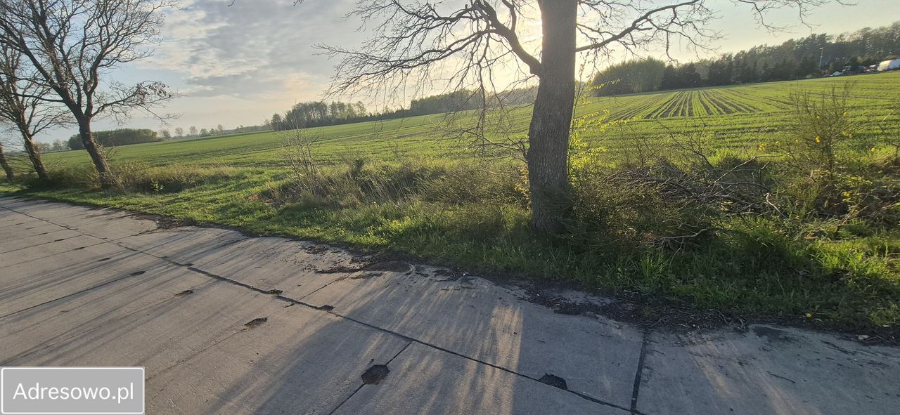 Działka rolno-budowlana Wielichowo. Zdjęcie 10