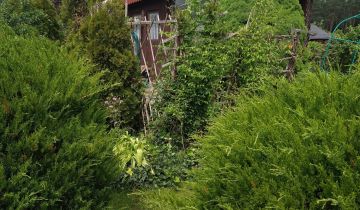 Działka rod Olsztyn