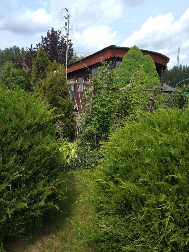 Działka rod Olsztyn. Zdjęcie 2