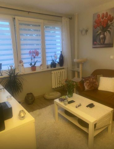 Mieszkanie 2-pokojowe Koszalin, ul. Kazimierza Tetmajera. Zdjęcie 1