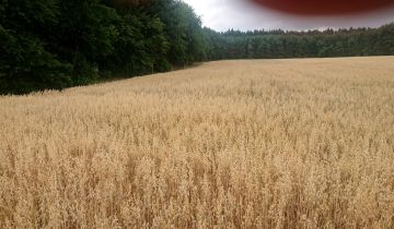 Działka inna Gąsiorowice, ul. Wolności