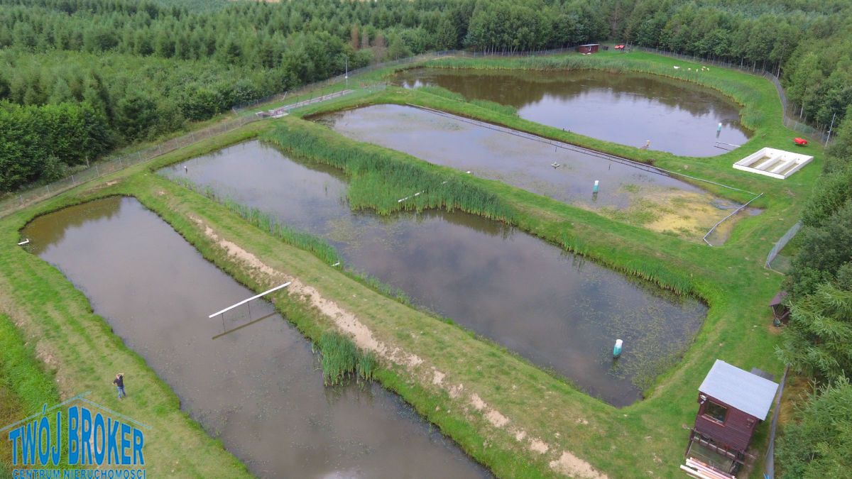 Nieruchomość komercyjna Bytów. Zdjęcie 11