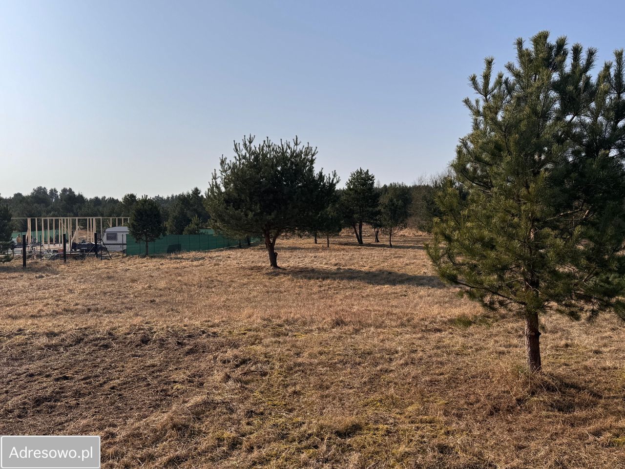 Działka rekreacyjna Dołgie. Zdjęcie 11