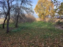 Działka rolno-budowlana Juliopol. Zdjęcie 2