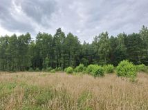 Działka rolno-budowlana Karolewo. Zdjęcie 3