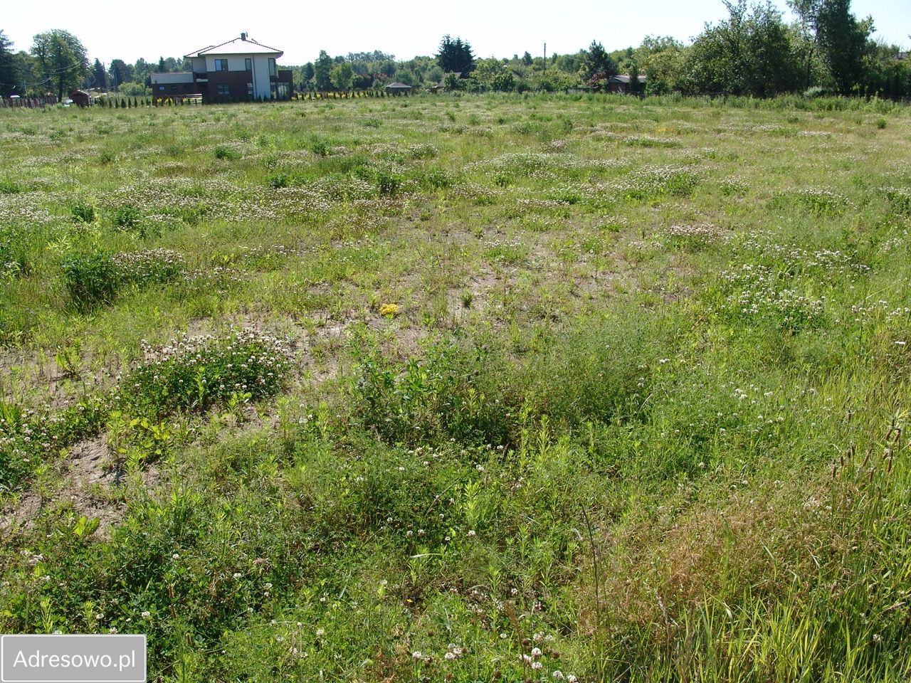 Działka rolno-budowlana Łódź Widzew, ul. Brylantowa