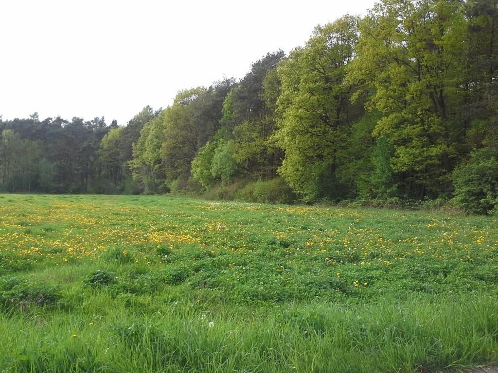 Działka budowlana Garbówek. Zdjęcie 10