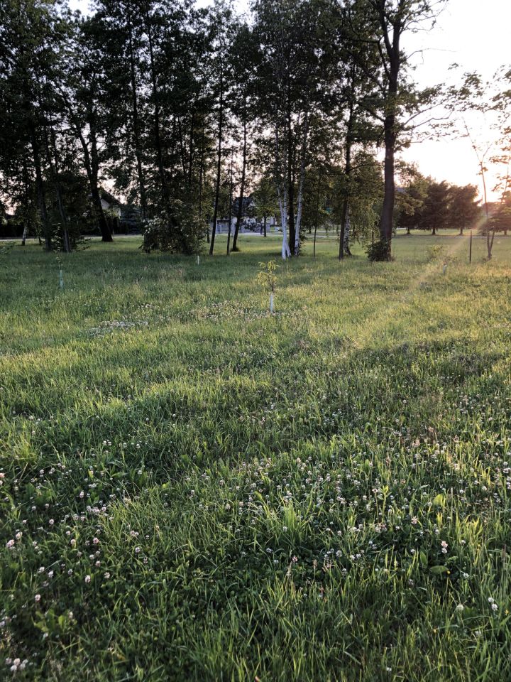 Działka budowlana Podchojny Polesie. Zdjęcie 13
