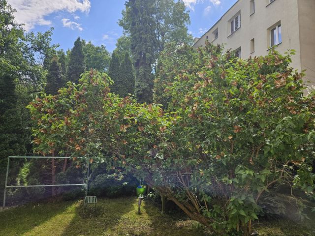 Mieszkanie 3-pokojowe Warszawa Mokotów, ul. Jarosława Dąbrowskiego. Zdjęcie 5