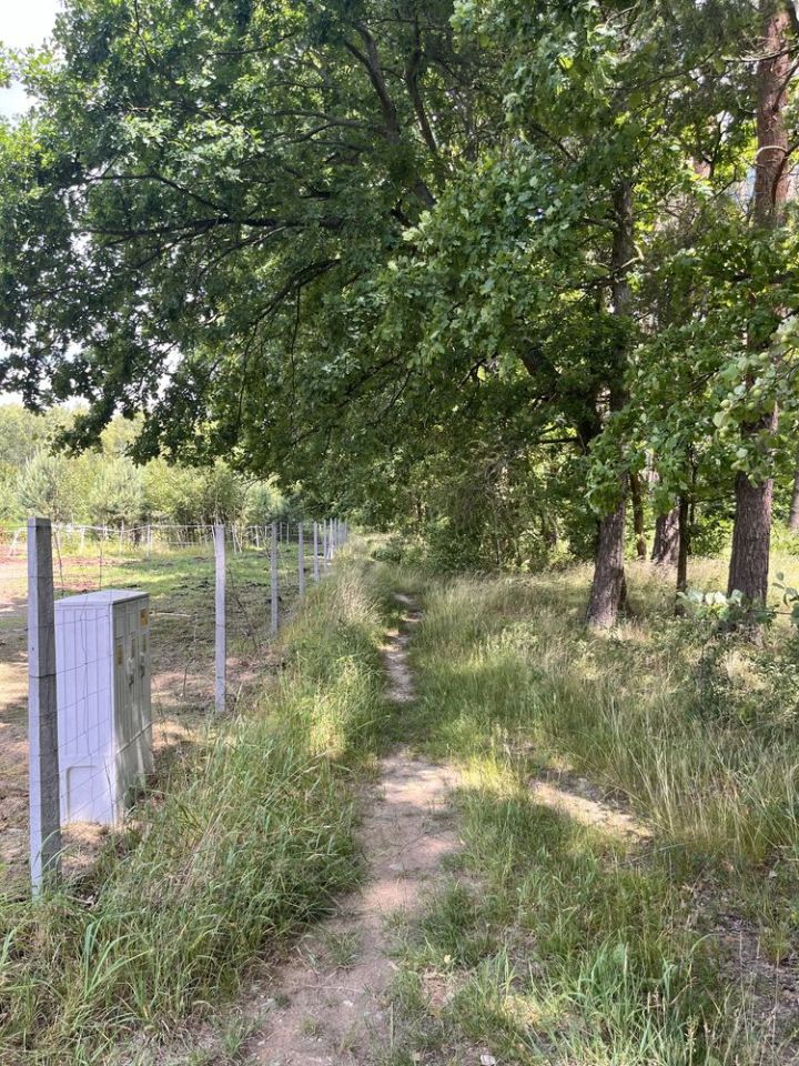 Działka rolno-budowlana Pęgów, ul. Na Polance. Zdjęcie 3