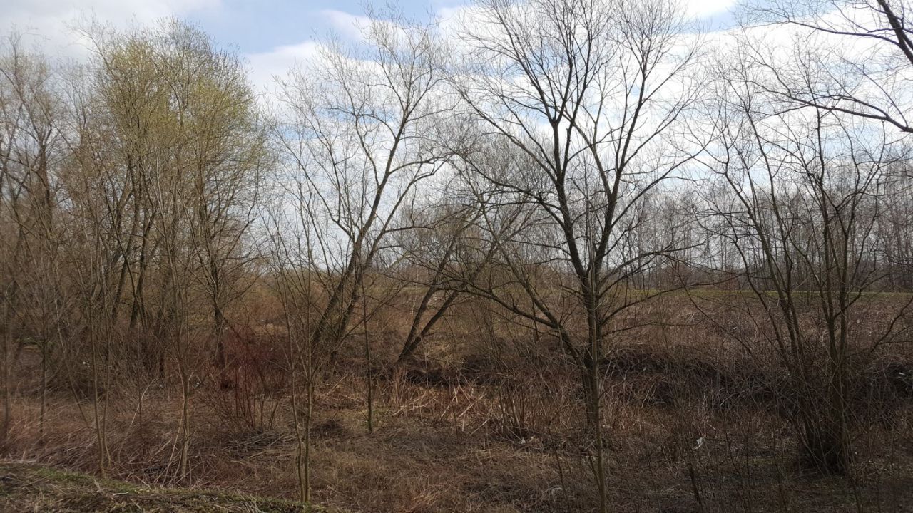 Działka inna Kaniów. Zdjęcie 7