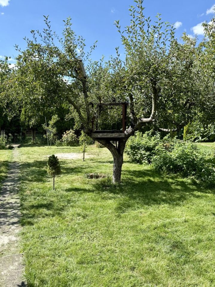 Działka rod Toruń, ul. Fabryczna. Zdjęcie 7