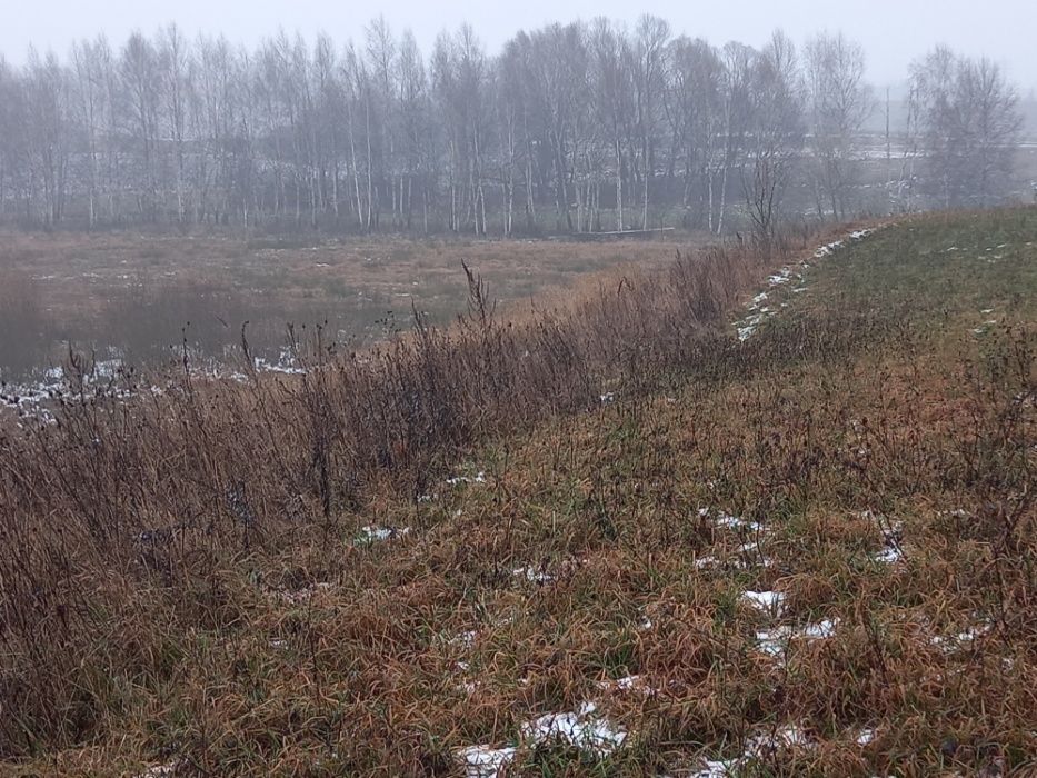 Działka rolno-budowlana Głęboki Rów. Zdjęcie 3