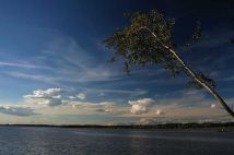 Działka rekreacyjna Rzeczyce. Zdjęcie 1