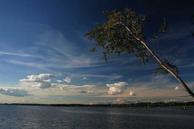 Działka rekreacyjna Rzeczyce. Zdjęcie 2