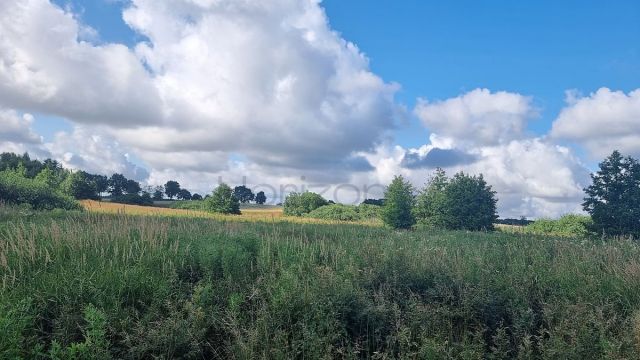 Działka rolna Sianożęty. Zdjęcie 7