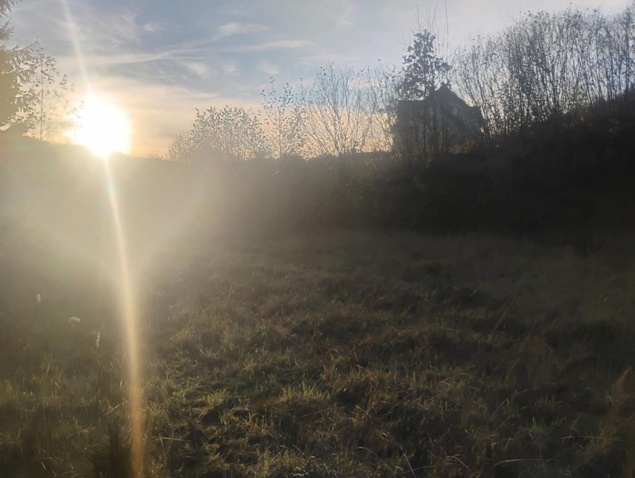 Działka budowlana Radochów. Zdjęcie 3