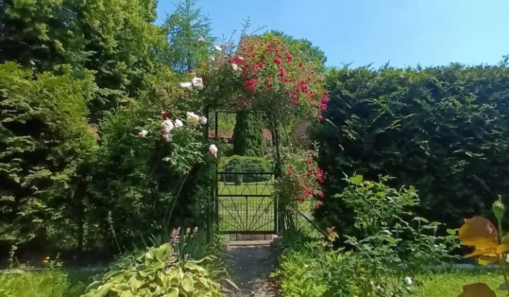 Działka rod Łódź Polesie