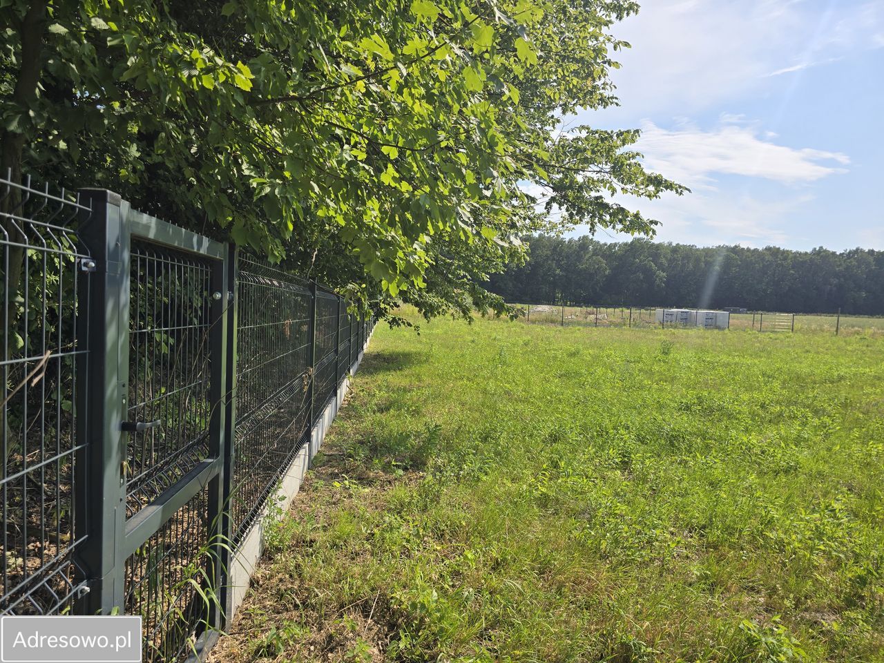 Działka siedliskowa Piotrawin. Zdjęcie 6