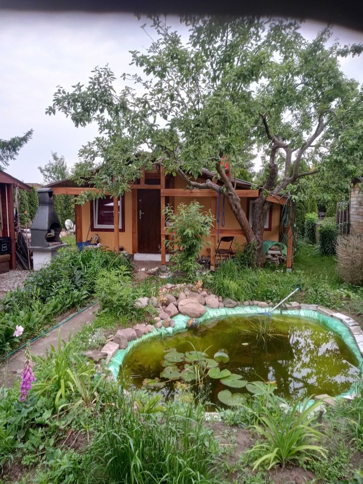 Działka rod Poznań Grunwald