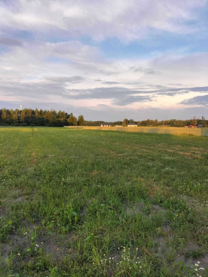 Działka rekreacyjna Grabniak. Zdjęcie 5