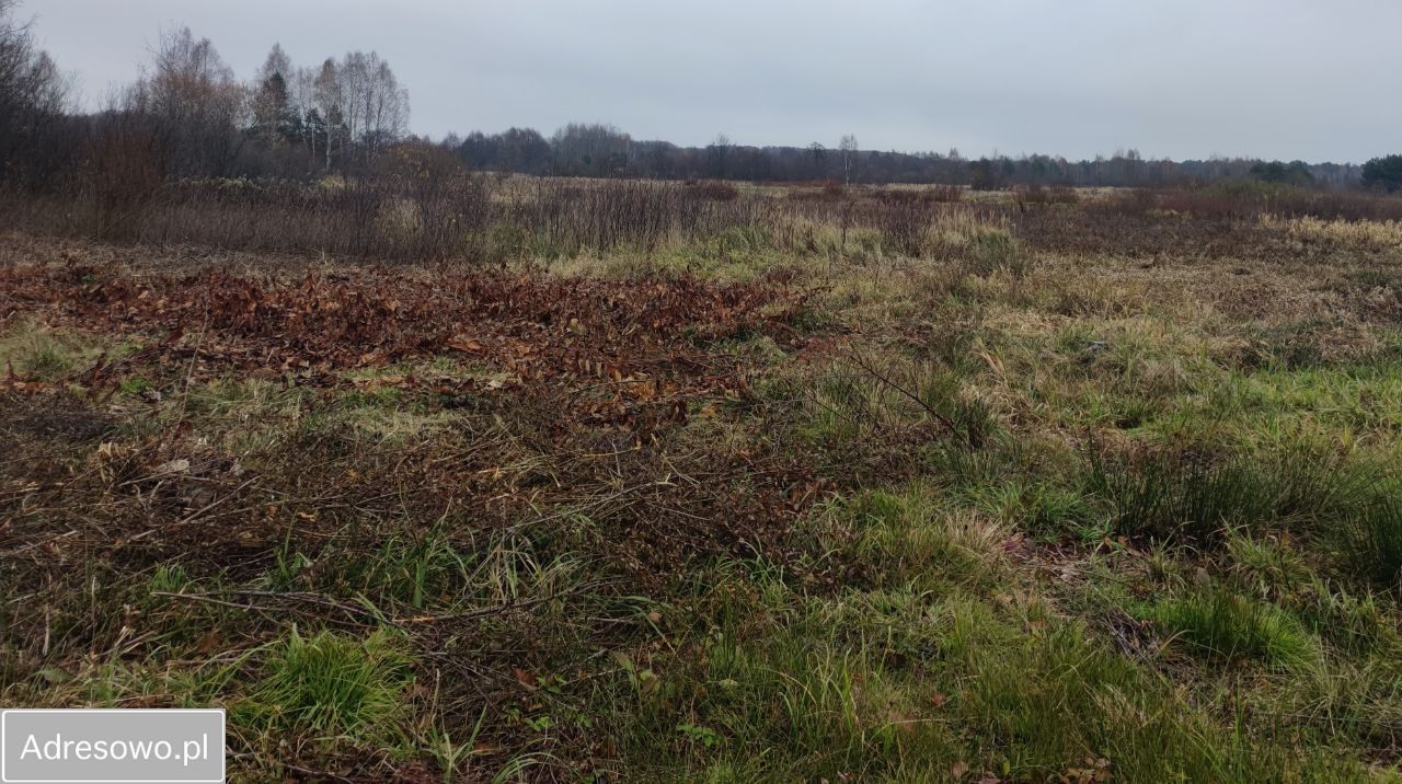 Działka Skronina. Zdjęcie 3