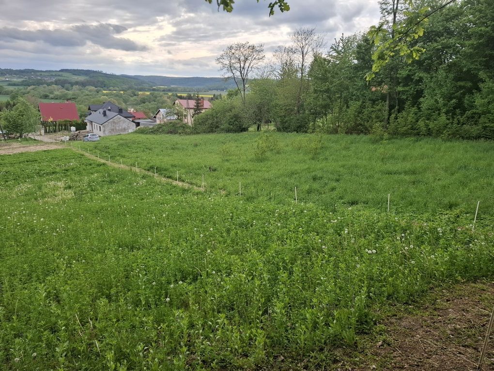 Działka budowlana Kuńkowce. Zdjęcie 3