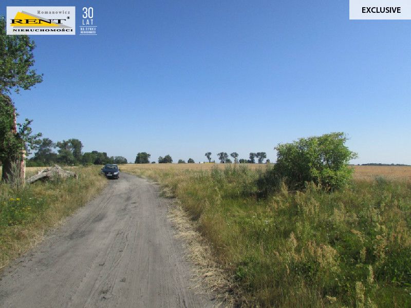 Działka inwestycyjna Kicko. Zdjęcie 3