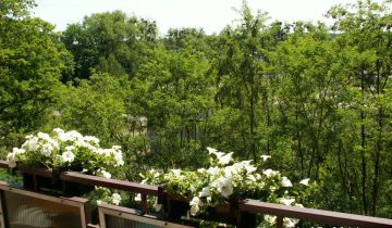 Mieszkanie 2-pokojowe Brodnica