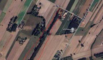 Działka rolno-budowlana Stare Wypychy