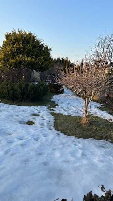 Działka rod Gdańsk Przymorze. Zdjęcie 3