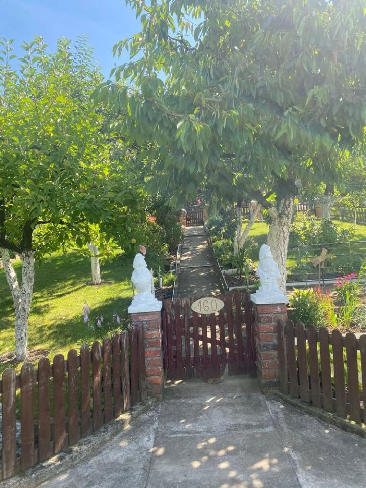 Działka rod Bogusławki. Zdjęcie 2