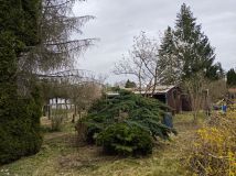 Działka rod Szczaki. Zdjęcie 3