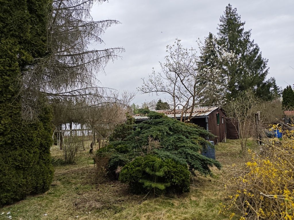 Działka rod Szczaki. Zdjęcie 4