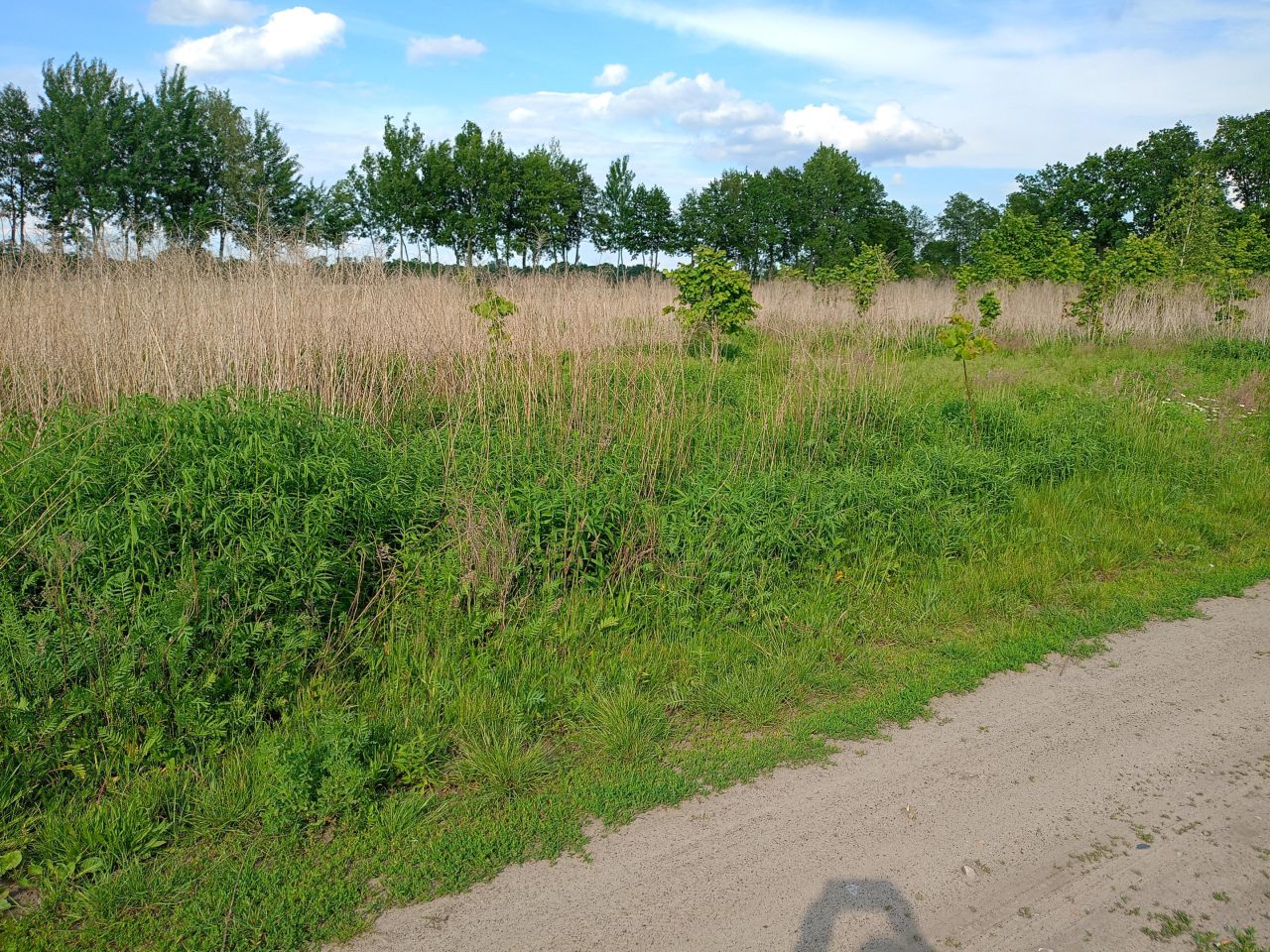 Działka budowlana Boruja Kościelna, ul. Promienista