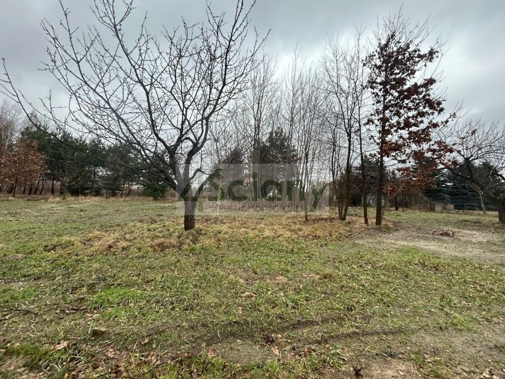 Działka budowlana Adamowizna. Zdjęcie 5