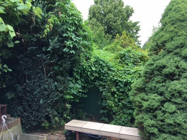 Działka rod Wrocław Stare Miasto, ul. Góralska. Zdjęcie 11