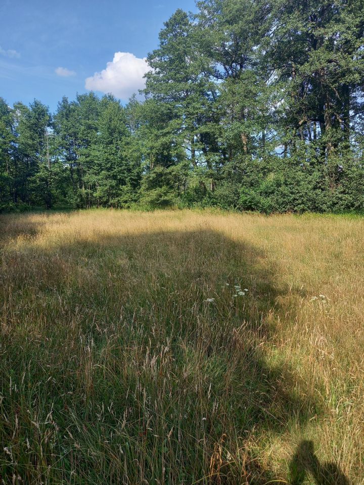 Działka leśna Brok Żurawieniec, ul. Żurawieniec. Zdjęcie 3
