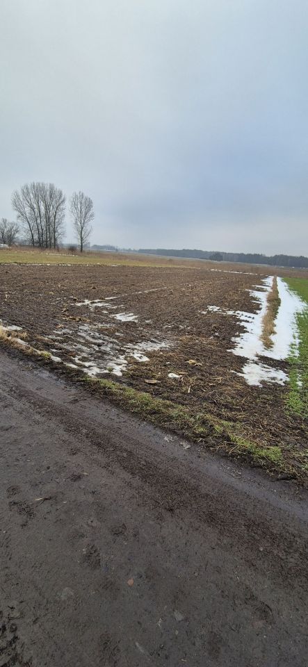 Działka budowlana Dąbie. Zdjęcie 3