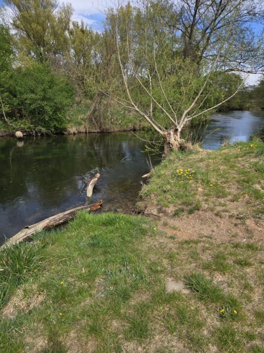 Działka rod Juszkowo. Zdjęcie 12